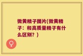 微黄精子图片(微黄精子：和高质量精子有什么区别？)