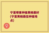 宁夏哪里种植黄精最好(宁夏黄精最佳种植地点)