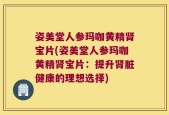 姿美堂人参玛咖黄精肾宝片(姿美堂人参玛咖黄精肾宝片：提升肾脏健康的理想选择)