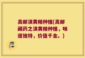 高邮滇黄精种植(高邮藏药之滇黄精种植，味道独特，价值千金。)