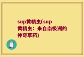 sup黄精虫(sup黄精虫：来自南极洲的神奇草药)