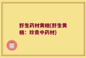 野生药材黄精(野生黄精：珍贵中药材)