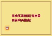 海南买黄精苗(海南黄精苗购买指南)