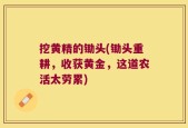 挖黄精的锄头(锄头重耕，收获黄金，这道农活太劳累)
