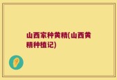山西家种黄精(山西黄精种植记)