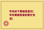 岑巩林下黄精育苗忙(岑巩黄精育苗的繁忙生活)