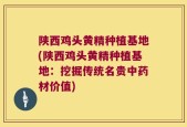 陕西鸡头黄精种植基地(陕西鸡头黄精种植基地：挖掘传统名贵中药材价值)