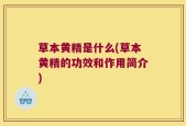 草本黄精是什么(草本黄精的功效和作用简介)