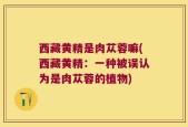西藏黄精是肉苁蓉嘛(西藏黄精：一种被误认为是肉苁蓉的植物)