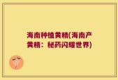 海南种植黄精(海南产黄精：秘药闪耀世界)