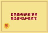 目前最好的黄精(黄精最佳品种及种植技巧)
