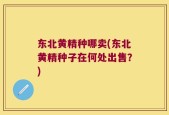 东北黄精种哪卖(东北黄精种子在何处出售？)