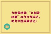 九制黄精果(“九制黄精果”改良开发成功，助力中医成果转化)