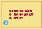 贵州黄精作用(解读黄精：贵州特有植物能降糖、增免疫力)