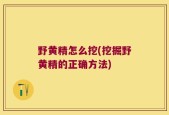 野黄精怎么挖(挖掘野黄精的正确方法)
