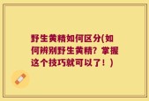 野生黄精如何区分(如何辨别野生黄精？掌握这个技巧就可以了！)