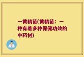 一黄精苗(黄精苗：一种有着多种保健功效的中药材)