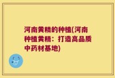 河南黄精的种植(河南种植黄精：打造高品质中药材基地)
