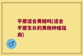 平原适合黄精吗(适合平原生长的黄精种植指南)