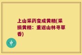 上山采药变成黄精(采摘黄精：重返山林寻草香)