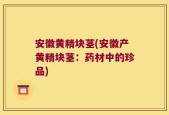 安徽黄精块茎(安徽产黄精块茎：药材中的珍品)