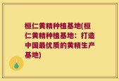 桓仁黄精种植基地(桓仁黄精种植基地：打造中国最优质的黄精生产基地)