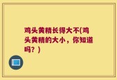 鸡头黄精长得大不(鸡头黄精的大小，你知道吗？)