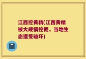 江西挖黄精(江西黄精被大规模挖掘，当地生态遭受破坏)