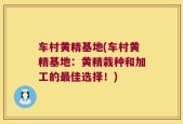 车村黄精基地(车村黄精基地：黄精栽种和加工的最佳选择！)