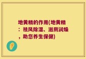 地黄精的作用(地黄精：祛风除湿、滋阴润燥，助您养生保健)