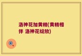 洛神花加黄精(黄精相伴 洛神花绽放)