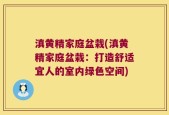 滇黄精家庭盆栽(滇黄精家庭盆栽：打造舒适宜人的室内绿色空间)