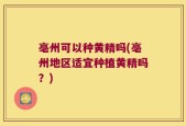 亳州可以种黄精吗(亳州地区适宜种植黄精吗？)