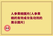 人参黄精图片(人参黄精的有效成分及功效的展示图片)