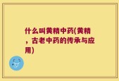 什么叫黄精中药(黄精，古老中药的传承与应用)