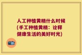 人工种植黄精什么时候(手工种植黄精：诠释健康生活的美好时光)