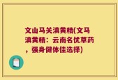 文山马关滇黄精(文马滇黄精：云南名优草药，强身健体佳选择)