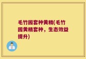 毛竹园套种黄精(毛竹园黄精套种，生态效益提升)
