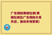 广东揭阳黄精牡蛎(黄精牡蛎在广东揭阳大受欢迎，推动市场繁荣)