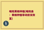略阳黄精种植(略阳县：黄精种植带动脱贫致富)