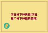 河北林下种黄精(河北推广林下种植的黄精)