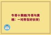牛蒡十黄精(牛蒡与黄精：一对养生好伙伴)