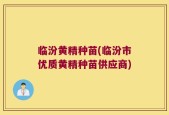 临汾黄精种苗(临汾市优质黄精种苗供应商)