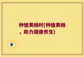 种植黄精时(种植黄精，助力健康养生)
