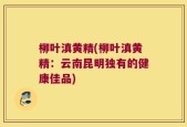 柳叶滇黄精(柳叶滇黄精：云南昆明独有的健康佳品)