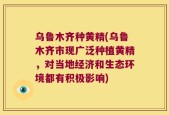 乌鲁木齐种黄精(乌鲁木齐市现广泛种植黄精，对当地经济和生态环境都有积极影响)