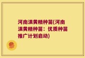 河南滇黄精种苗(河南滇黄精种苗：优质种苗推广计划启动)