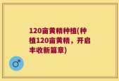 120亩黄精种植(种植120亩黄精，开启丰收新篇章)