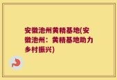 安徽池州黄精基地(安徽池州：黄精基地助力乡村振兴)