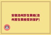 安徽池州野生黄精(池州原生黄精受到保护)